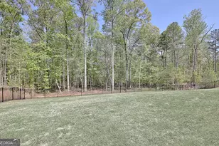 160 Lapis Lake Pt, Fayetteville, GA 30215 - Photo 47