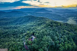 280 Pointe Of View, Blue Ridge, GA 30513 - Photo 11