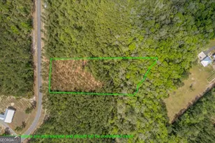 Lot 22 Heritage Way, Hortense, GA 31543 - Photo 1