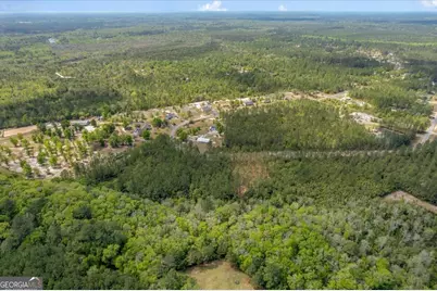 Lot 22 Heritage Way, Hortense, GA 31543 - Photo 13