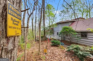 8528 Soapstone Creek Trail, Hiawassee, GA 30546 - Photo 3