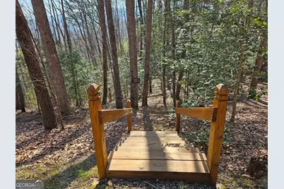 8528 Soapstone Creek Trail, Hiawassee, GA 30546 - Photo 59