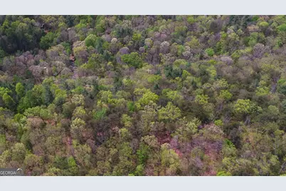 761 Clayton Gooch Road, Dahlonega, GA 30533 - Photo 41