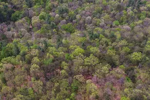 761 Clayton Gooch Rd, Dahlonega, GA 30533 - Photo 41