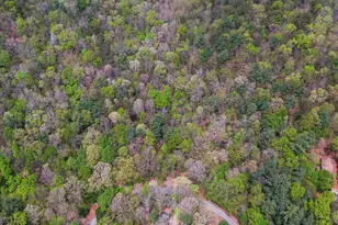 761 Clayton Gooch Rd, Dahlonega, GA 30533 - Photo 37