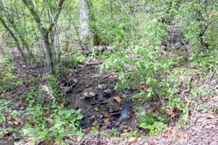761 Clayton Gooch Rd, Dahlonega, GA 30533 - Photo 29