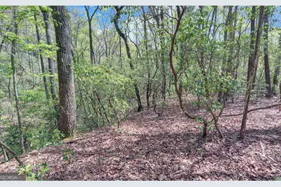 761 Clayton Gooch Road, Dahlonega, GA 30533 - Photo 31
