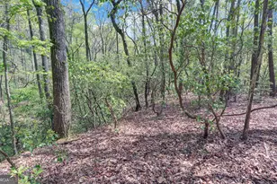 761 Clayton Gooch Rd, Dahlonega, GA 30533 - Photo 31