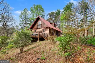 4609 Matheson Rd, Hiawassee, GA 30546 - Photo 47