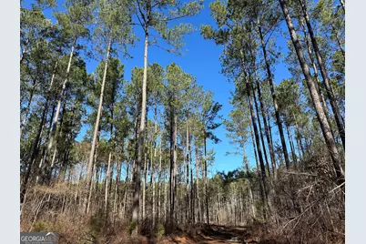 0 Farmington Road, Watkinsville, GA 30677 - Photo 5