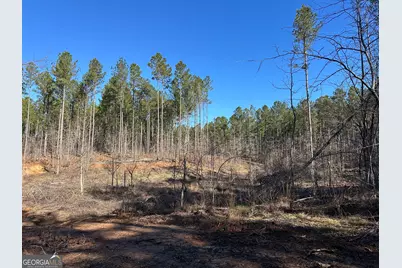 0 Farmington Road, Watkinsville, GA 30677 - Photo 19