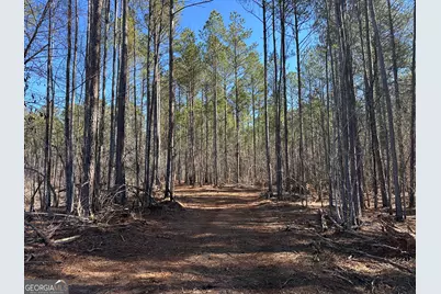 0 Farmington Road, Watkinsville, GA 30677 - Photo 17