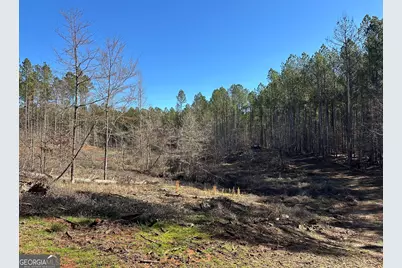 0 Farmington Road, Watkinsville, GA 30677 - Photo 25
