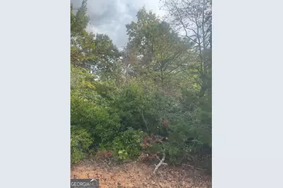 Lot 16 Brown Hawk Drive, Clayton, GA 30525 - Photo 3