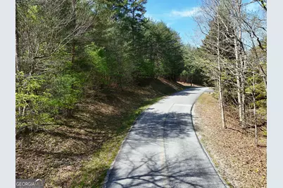 Lot 40 Ivy Meadow Lane, Blairsville, GA 30512 - Photo 5