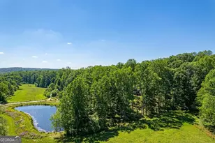 362 Horton Rd, Dahlonega, GA 30533 - Photo 47