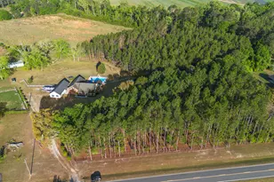 2209 Ga Hwy 86 W, Lyons, GA 30436 - Photo 35