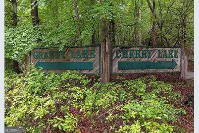 73 Rosiey Lane, Blue Ridge, GA 30513 - Photo 51