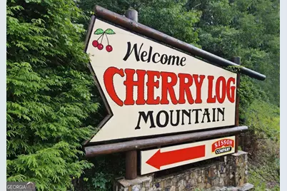 73 Rosiey Lane, Blue Ridge, GA 30513 - Photo 49