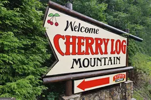 73 Rosiey Ln, Blue Ridge, GA 30513 - Photo 49