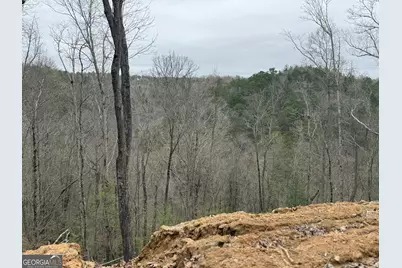 135 Flat Ridge Road, Ellijay, GA 30540 - Photo 11