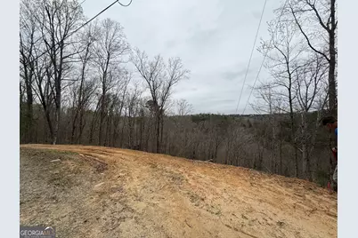 135 Flat Ridge Road, Ellijay, GA 30540 - Photo 5