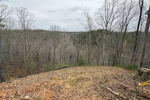 135 Flat Ridge Rd, Ellijay, GA 30540 - Photo 1