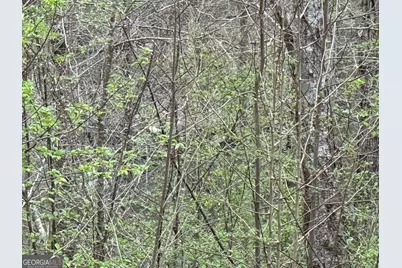 135 Flat Ridge Road, Ellijay, GA 30540 - Photo 11