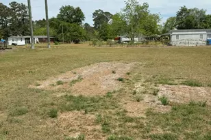 311 Douglas St, Alma, GA 31510 - Photo 7