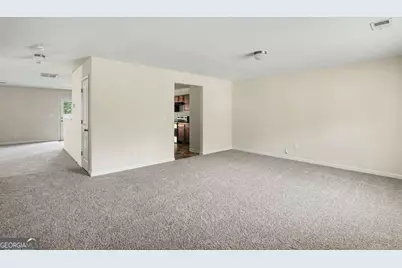 1160 Pebble Ridge Drive, Hampton, GA 30228 - Photo 29