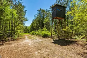 0 Wainwright Rd, Butler, GA 31006 - Photo 1