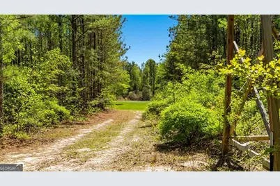 0 Wainwright Road, Butler, GA 31006 - Photo 17