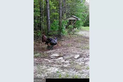 0 Wainwright Road, Butler, GA 31006 - Photo 51