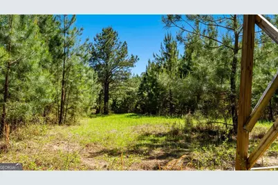 0 Wainwright Road, Butler, GA 31006 - Photo 7