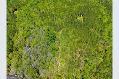 0 Wainwright Road, Butler, GA 31006 - Photo 41