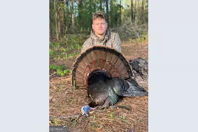 0 Wainwright Road, Butler, GA 31006 - Photo 49