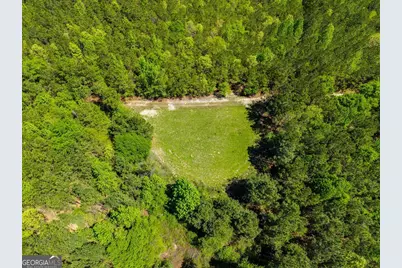 0 Wainwright Road, Butler, GA 31006 - Photo 31