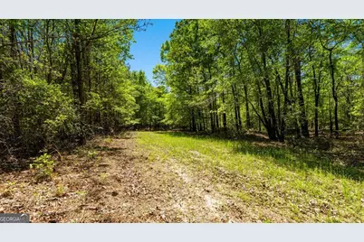 0 Wainwright Road, Butler, GA 31006 - Photo 39