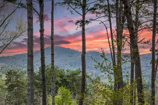 133 Oasis Ridge Rd, Lakemont, GA 30525 - Photo 75