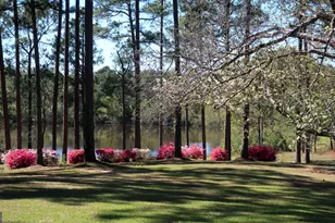 1146 Hwy 56, Swainsboro, GA 30401 - Photo 11