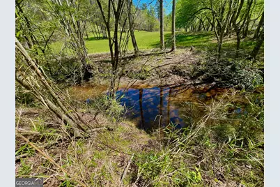 00 Toccoa River Forest, Mineral Bluff, GA 30559 - Photo 21