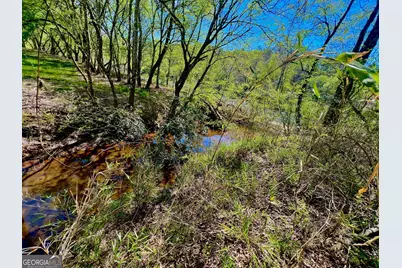 00 Toccoa River Forest, Mineral Bluff, GA 30559 - Photo 23