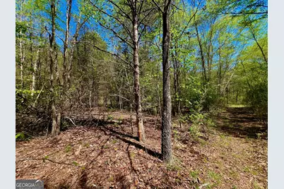 00 Toccoa River Forest, Mineral Bluff, GA 30559 - Photo 27