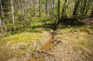 2960 Trackrock Church Rd, Blairsville, GA 30512 - Photo 27