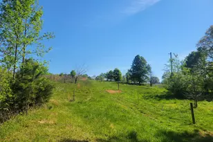 214 Homer Stephens Rd, Cornelia, GA 30531 - Photo 21