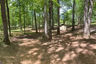 27 Hawk Trail, Newborn, GA 30056 - Photo 7