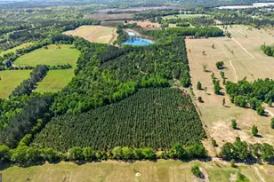 1747 Perkins Green Fork Rd, Millen, GA 30442 - Photo 49