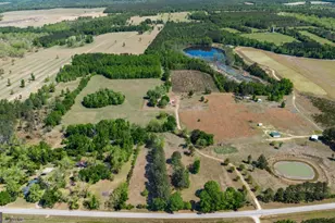 1747 Perkins Green Fork Rd, Millen, GA 30442 - Photo 45