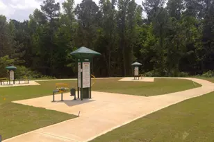 11953 Aukerman Wy, Hampton, GA 30228 - Photo 29