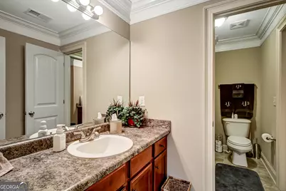 291 Cannongate Road, Sharpsburg, GA 30277 - Photo 21